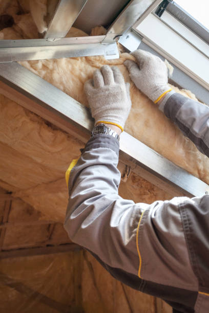 Best Local Insulation Services  in Hebron, IN